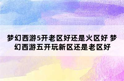 梦幻西游5开老区好还是火区好 梦幻西游五开玩新区还是老区好